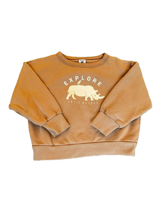 Petit Bateau Beige Rhino Sweatshirt (4Y)