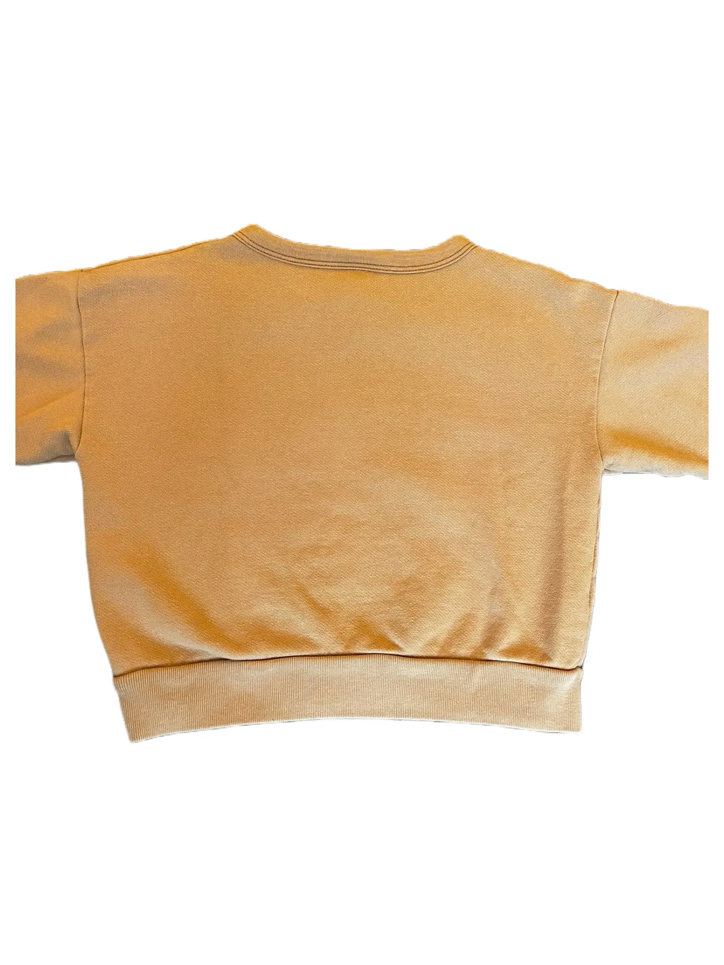 Petit Bateau Beige Rhino Sweatshirt (4Y)